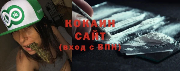 тгк Богданович