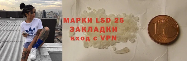 гашик Белокуриха