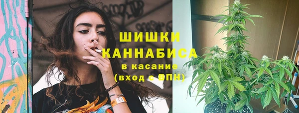прущая мука Богородицк