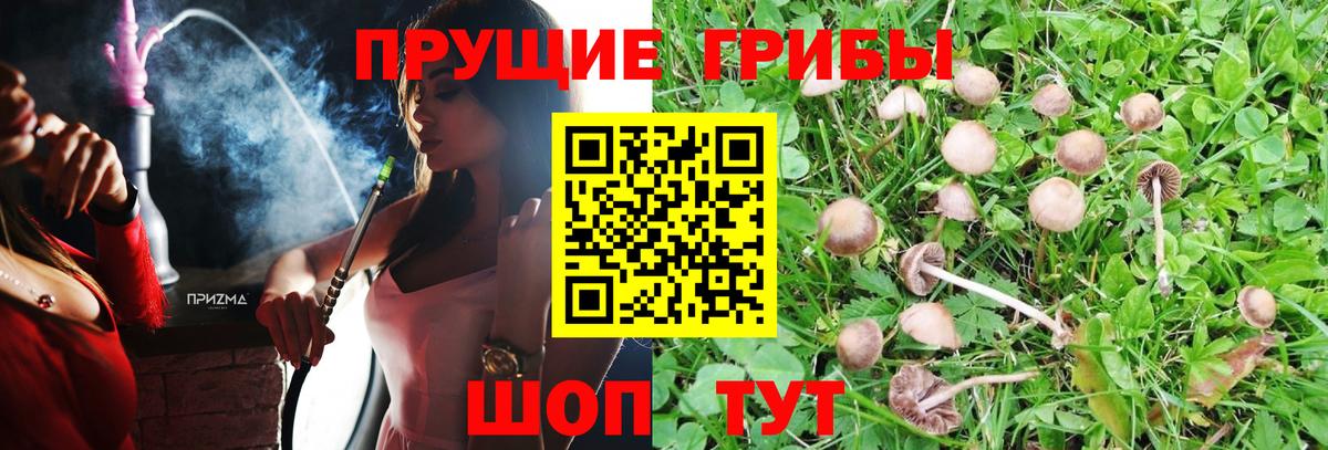 Великий Устюг  Галлюциногенные грибы Magic Shrooms  Вход с VPN  Псилоцибиновые грибы Psilocybine cubensis 