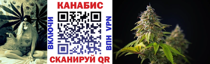 Бошки Шишки план  Великий Устюг 